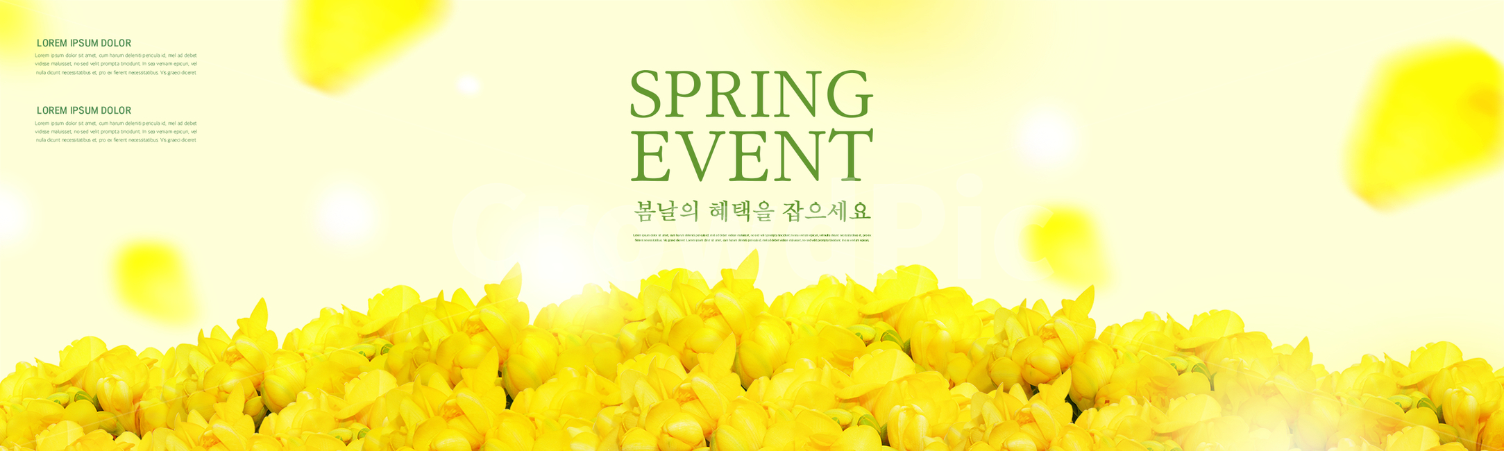 프리지아,꽃다발,꽃잎,봄,배너,쇼핑,꽃,이벤트,봄,계절,spring,season,축제,행사,festival,carnival,event,그래픽,일러스트레이션,graphic,illustration,plant,식물