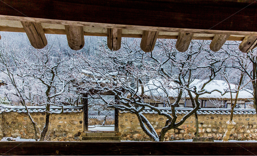 설경,겨울,고택,문화유산,전통,겨울,계절,winter,season,한국전통,한국문화,korean traditional,korean culture,식물,자연,plants,nature,나무,trees,wood,건축물,건물외관,exterior,building,structure,architecture,construction