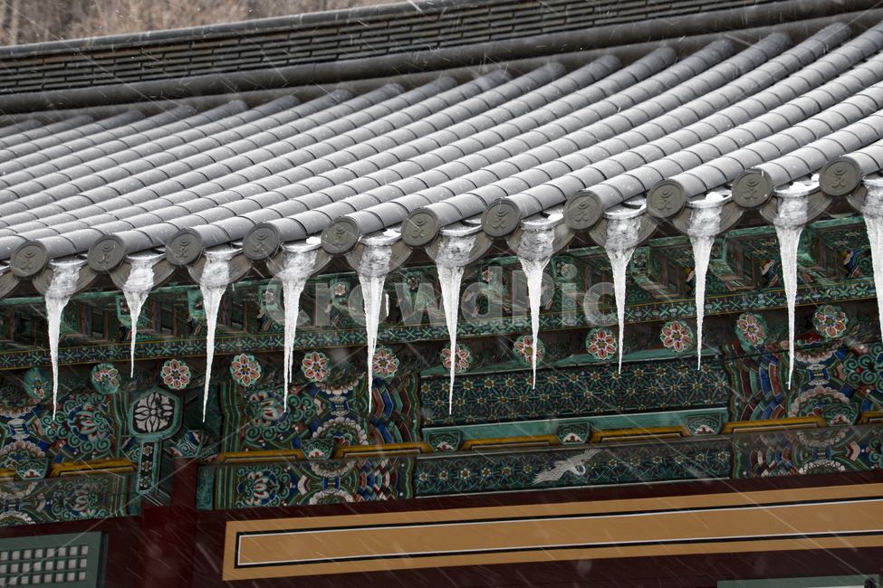 종교,풍경,절,불교,건물,사찰,지붕,단청,기와집,눈,고드름,창살,무늬,패턴,처마,목조건물,전통,강원도,정암사,자장율사,한국,겨울,그림,학,기와지붕