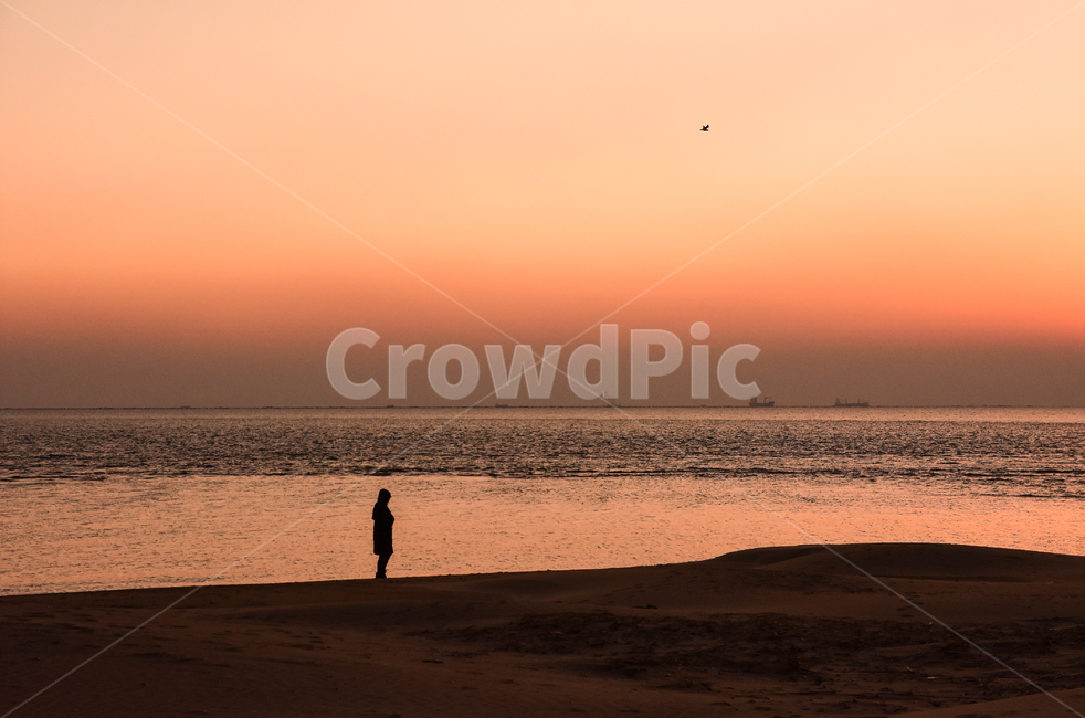 다대포,다대포해수욕장,부산,일출,nature,자연,outdoors,옥외,dawn,새벽,redsky,붉은하늘,일몰,sky,하늘,dusk,황혼,person,사람,human,인간,감성,포착,sunset,sunrise,busan,자연,풍경,nature,landscape,red sky,붉은 하늘