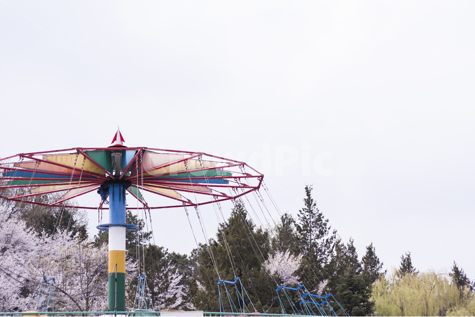 꽃,벚꽃,봄,놀이공원,amusementpark,spring,cherryblossom