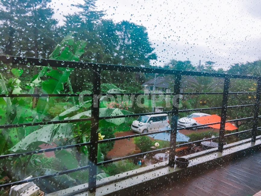 빗방울,창문,감성사진,비,비오는날,rain,나무,자동차,하늘,날씨