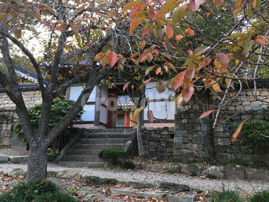 선암사,풍경,가을,낙엽,돌담장,돌담,담장,기와,선암매,매화,산사,산지승원,절,사찰,불교,템플스테이,기도,유네스코,세계문화유산,흙길,돌길,산책,한국전통,한국문화,korean traditional,korean culture,건축물,건물외관,exterior,building,structure,architecture,construction