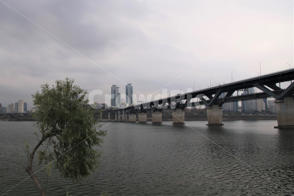 bridge,다리,건물,강,물,풍경