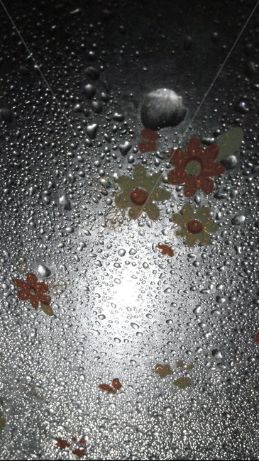 물방울,비,물,창문,우산,꽃,water,splash,window,umbrella,rain,빛,비,비오는날,rain,rainy