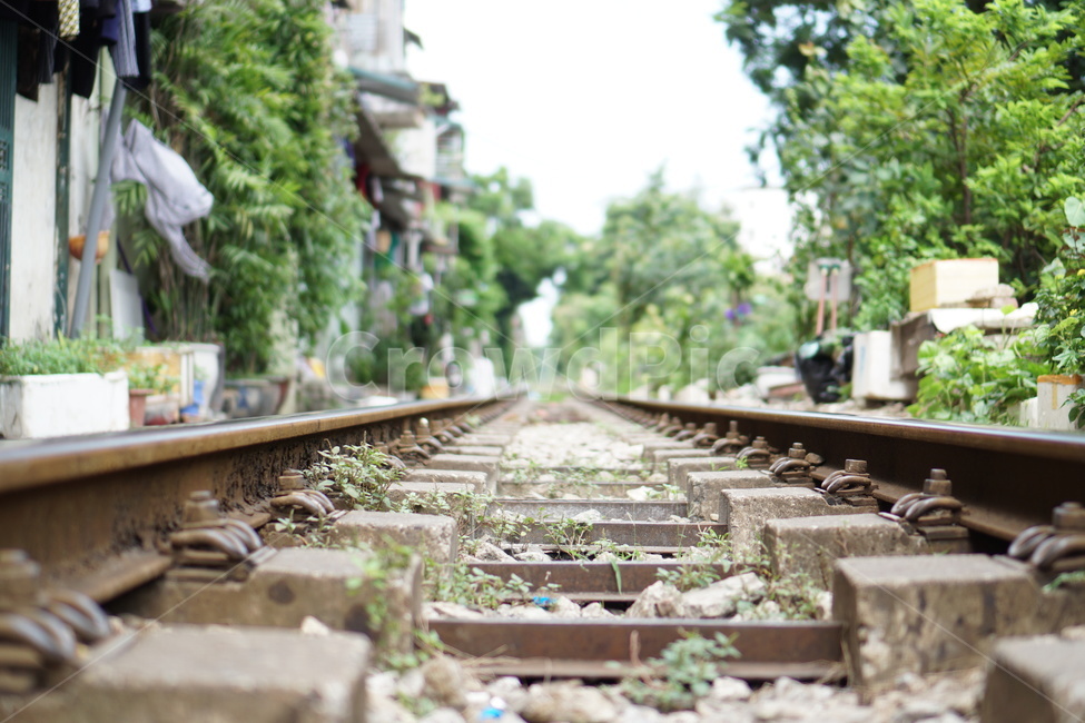 철도,rail,레일,railway,기찻길,교통,기차,베트남