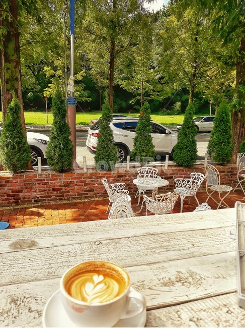 커피,나무,의자,테이블,카페,식물,tree,야외,커피,카페,coffee,cafe
