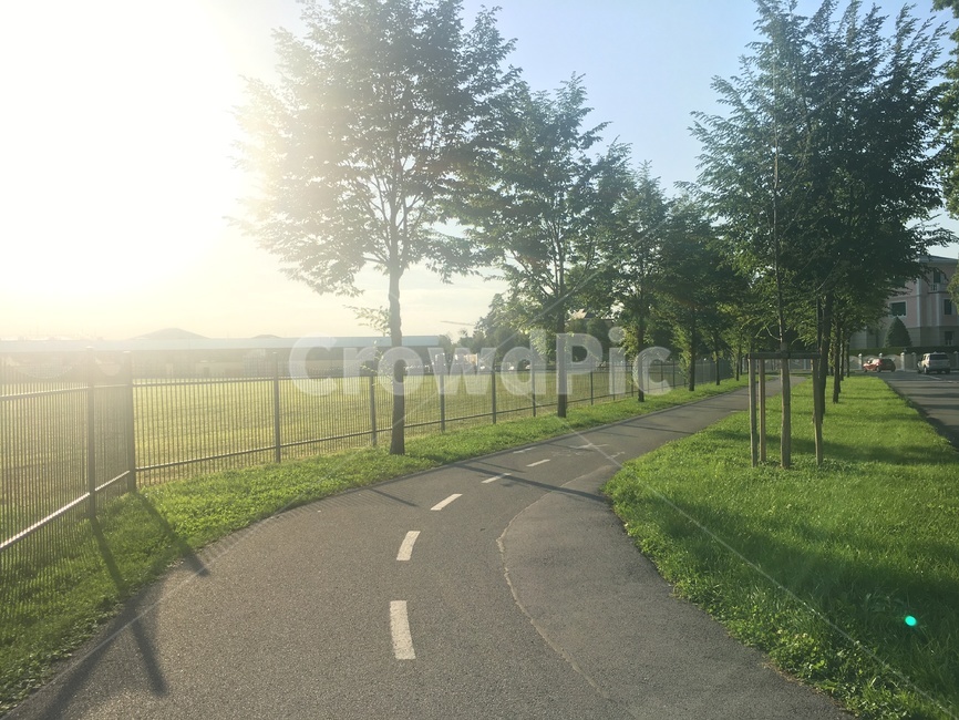 도로,햇빛,초록색,오스트리아,자연,자연,풍경,nature,landscape,asphalt,아스팔트,road