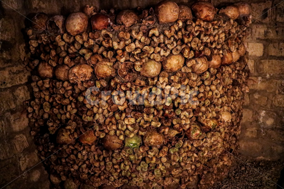 해골,카타콤,유적,지하묘지,유적지,묘지,skull,스컬,catacombs,파리,paris,공포,호러,무서운,무서움,horror,terror,fear