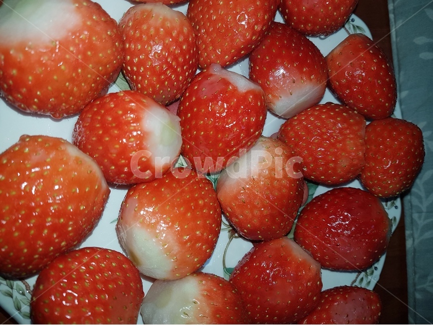 strawberry,딸기,과일,fruit,음식