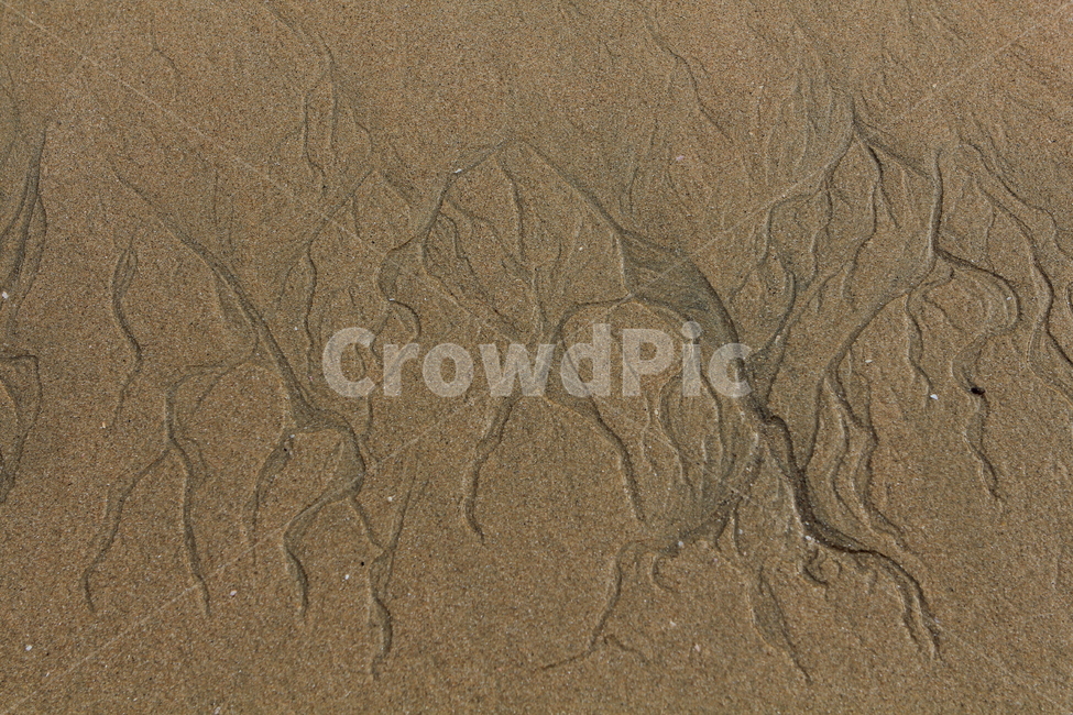 모래그림,백사장,모래밭,해수욕장,파도,해변,바다,beach,sea