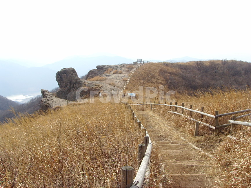 산,가을,길,갈대,바위,가을,계절,fall,autumn,season,자연,풍경,nature,landscape,outdoors,옥외