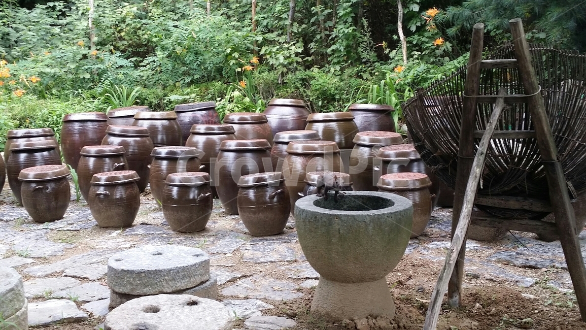 항아리,자연,힐링,여유,청솔모,다람쥐,지게,시골,풍경,나무,그늘,하늘,구름,야외,휴식,잔디,마당,잔디마당