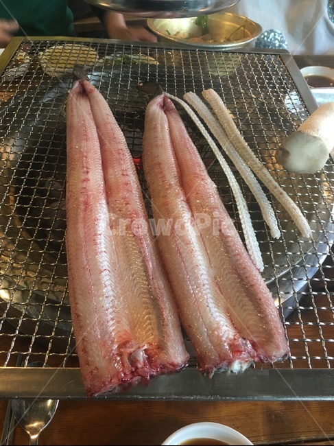 장어,장어구이,숯불,숯불구이,장어뼈,음식,바베큐,외식,물고기,생선,생선구이,음식,식재료,요리,food,cook,meal,dishes,food reserves