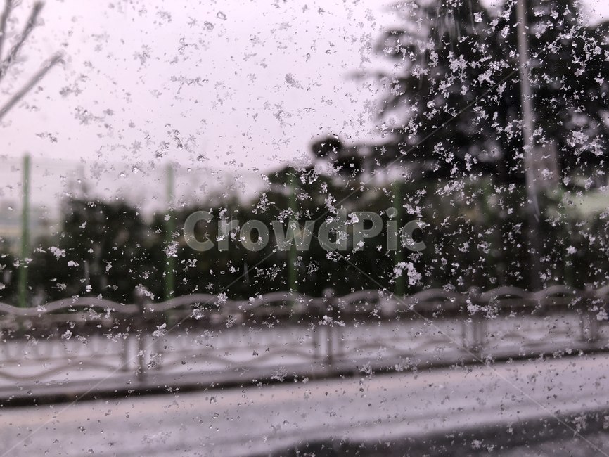 겨울,눈,진눈깨비,snow,함박눈,겨울,계절,winter,season
