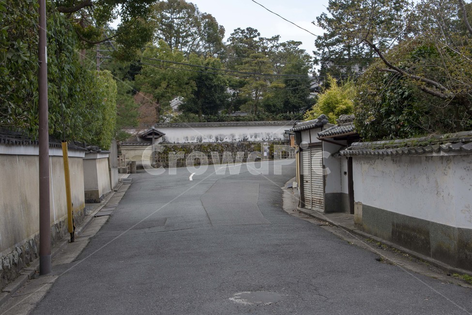 asphalt,아스팔트,거리,동네,풍경,배경