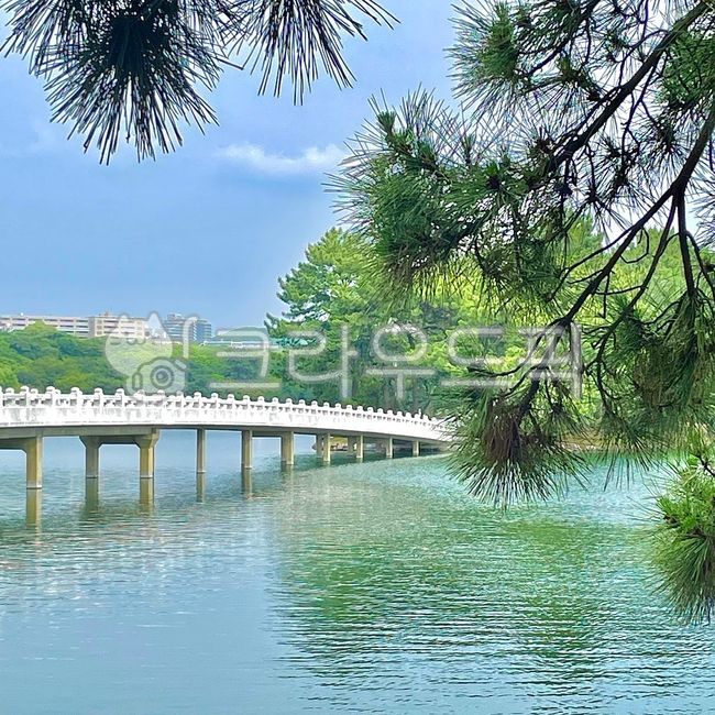 japan,후쿠오카,오호리공원,자연,도시풍경