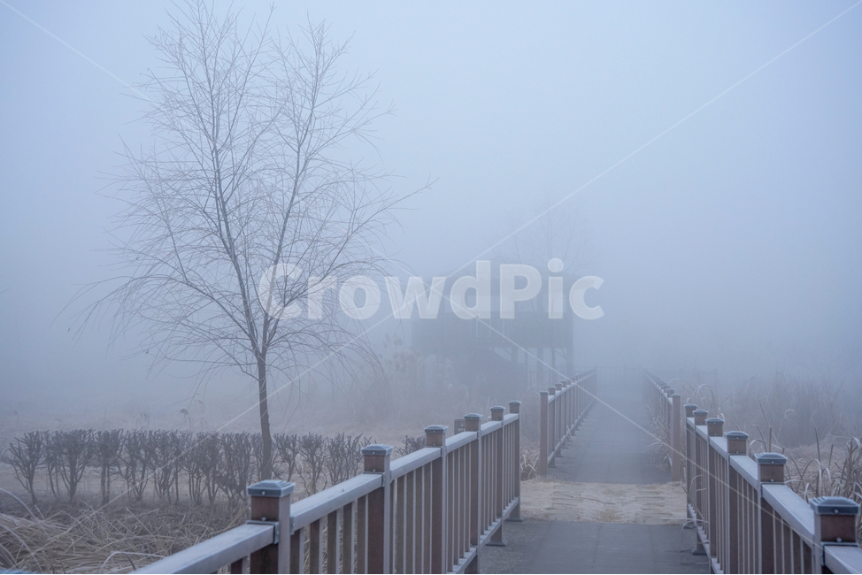 안개,공원,풍경,시설물,정자,겨울,계절,감성,겨울,계절,winter,season,자연,풍경,nature,landscape,weather,날씨,outdoors,옥외
