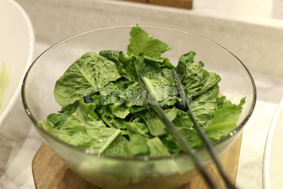 샐러드,로매인,상추,음식,푸드,뷔페,음식,식재료,요리,food,cook,meal,dishes,food reserves,채소,야채,vegetables