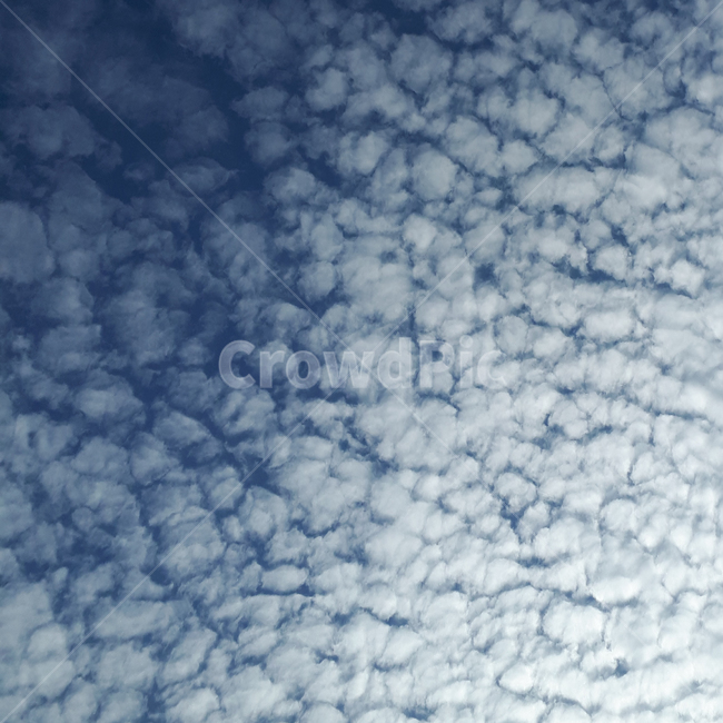 하늘,sky,구름,뭉게구름,여름,몽실몽실,파란,cloud