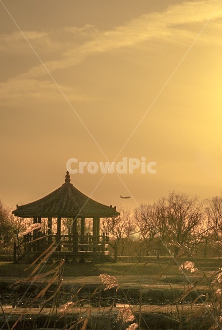 sky,natural scenery,Korean landscape,Silver grass,sunset,airplane,sperm,autumn