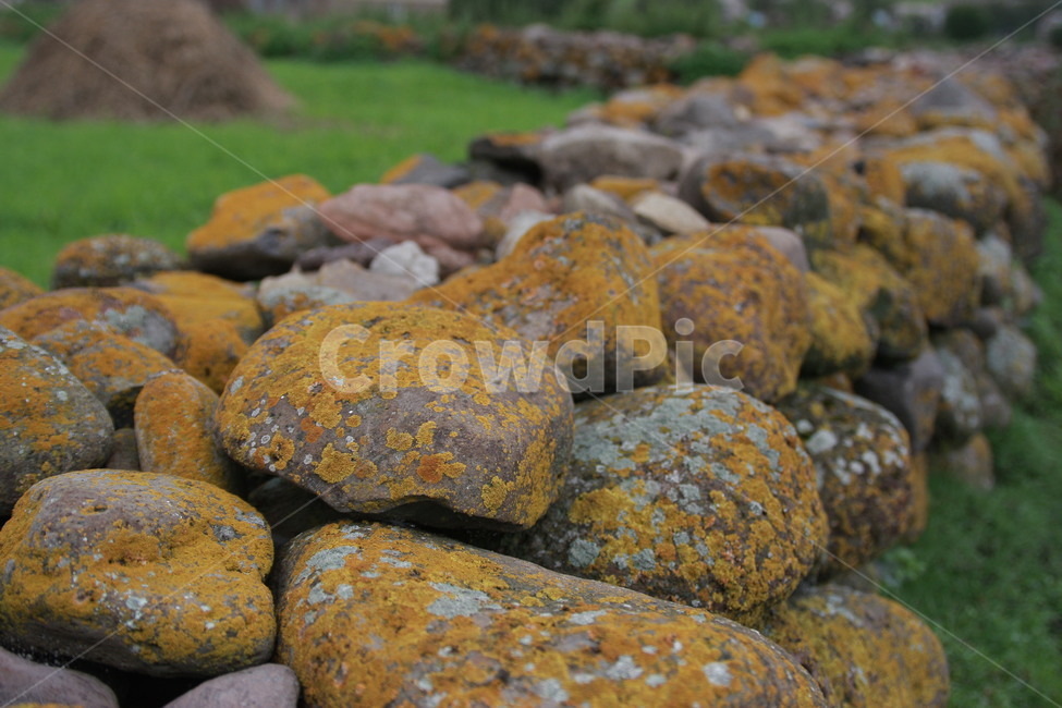 mosses,돌담,초록,이끼,stone