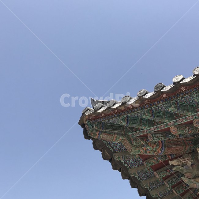 하늘,경주,전통적,기와,전통