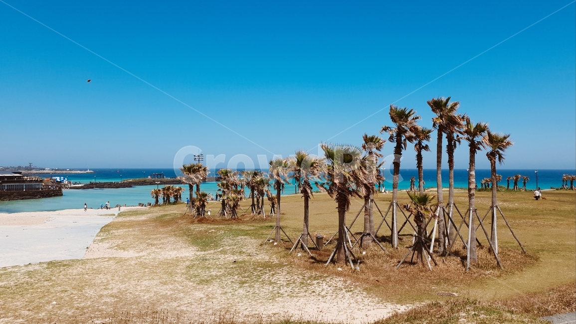 제주도,해변,바다,풍경,자연