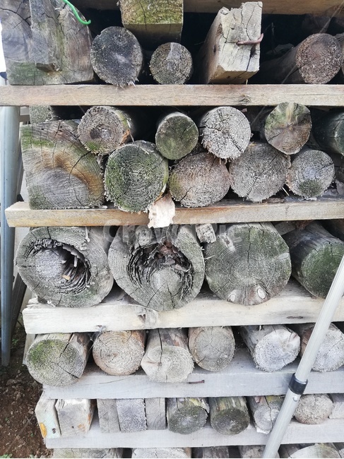 wood,나무,동그라미,네모,장작,식물,자연,plants,nature,나무,trees,wood