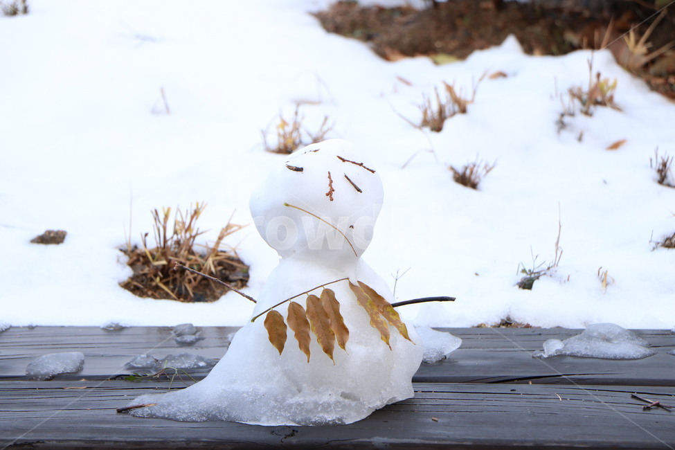 눈,겨울,snow,winter,눈사람,겨울,계절,winter,season