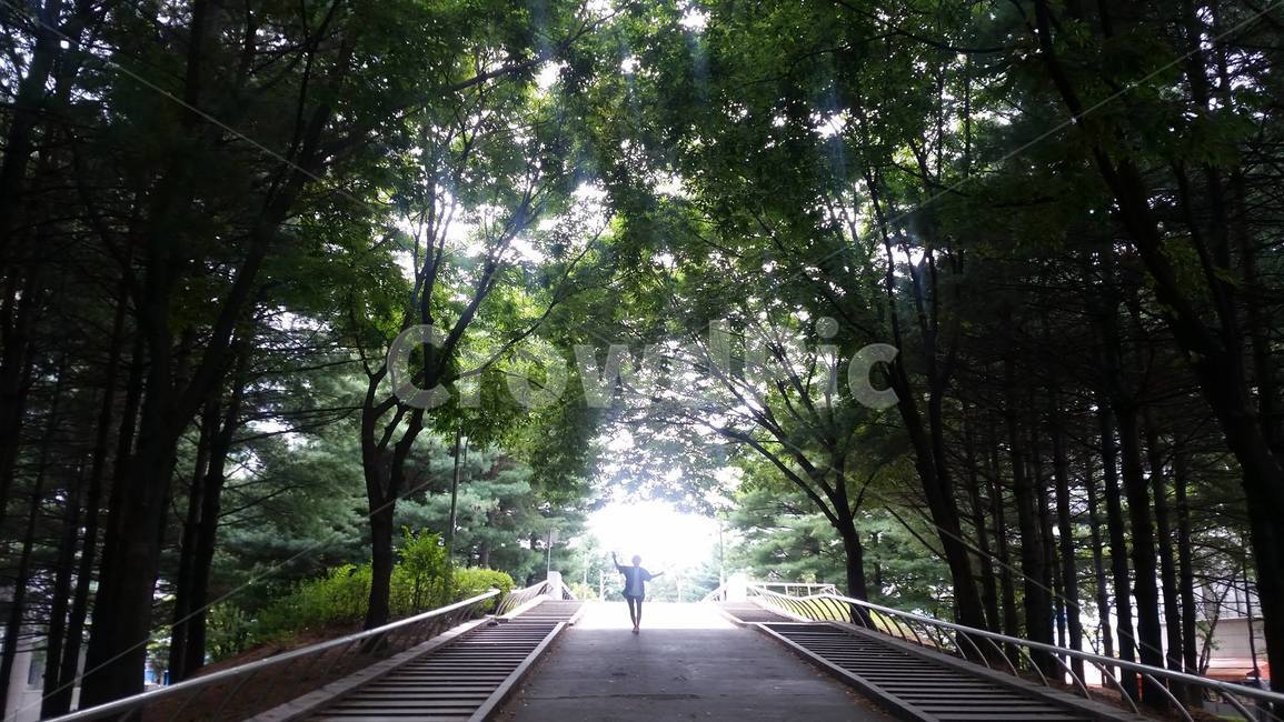숲,사람,풍경,비톤치드,산책,자연,풍경,nature,landscape,outdoors,옥외