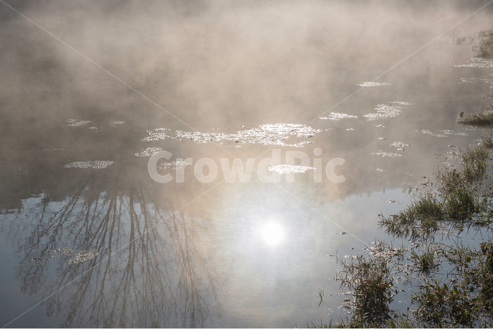 자연,풍경,가을,아침,안개,반곡지,몽환적,자연,풍경,nature,landscape,light,빛,flare,플레어,weather,날씨,outdoors,옥외