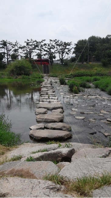 전주,산책,돌다리,풍경,자연