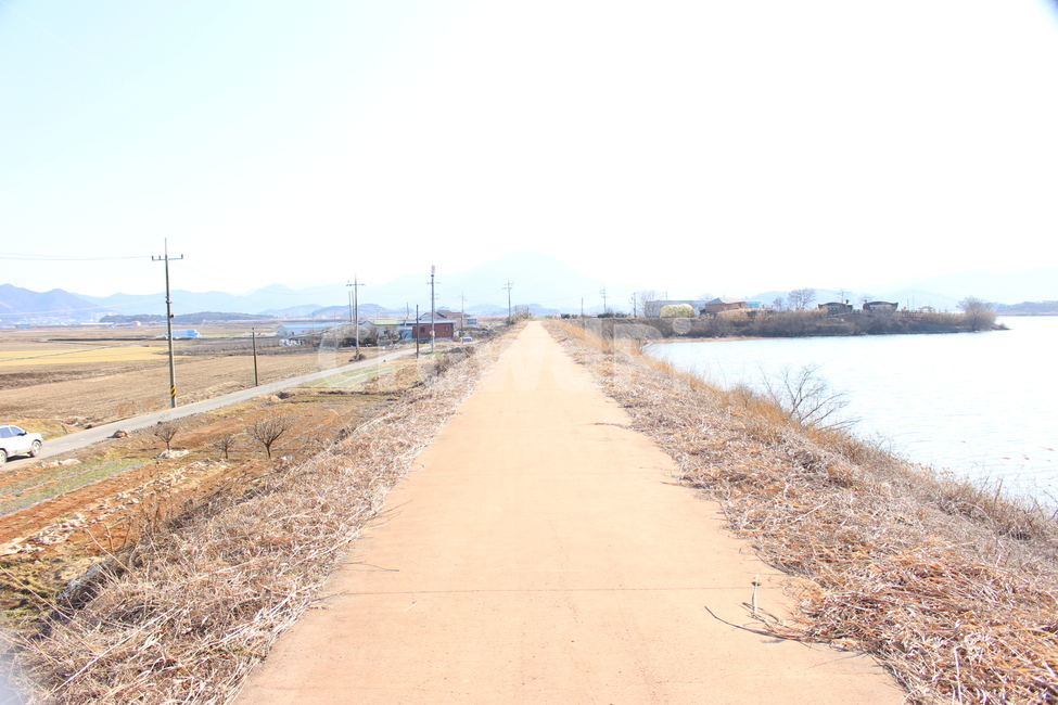 road,도로,흙길,길,농노,계획,직선길,곧음,직진