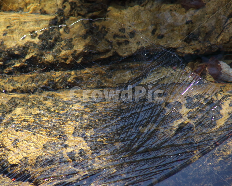 물,얼음,겨울,추위,ice,자연,풍경,nature,landscape