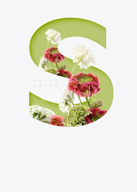 flowers,color,seasonal,Colorful,bouquet,alphabet,flower,spring flowers,spring,background image,background,frame