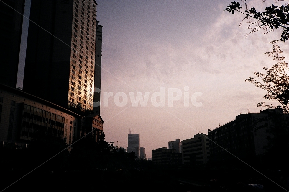 하늘,sky,도시,건물,building,city,석양,sunset,필름,film,필름사진,감성,sentimental