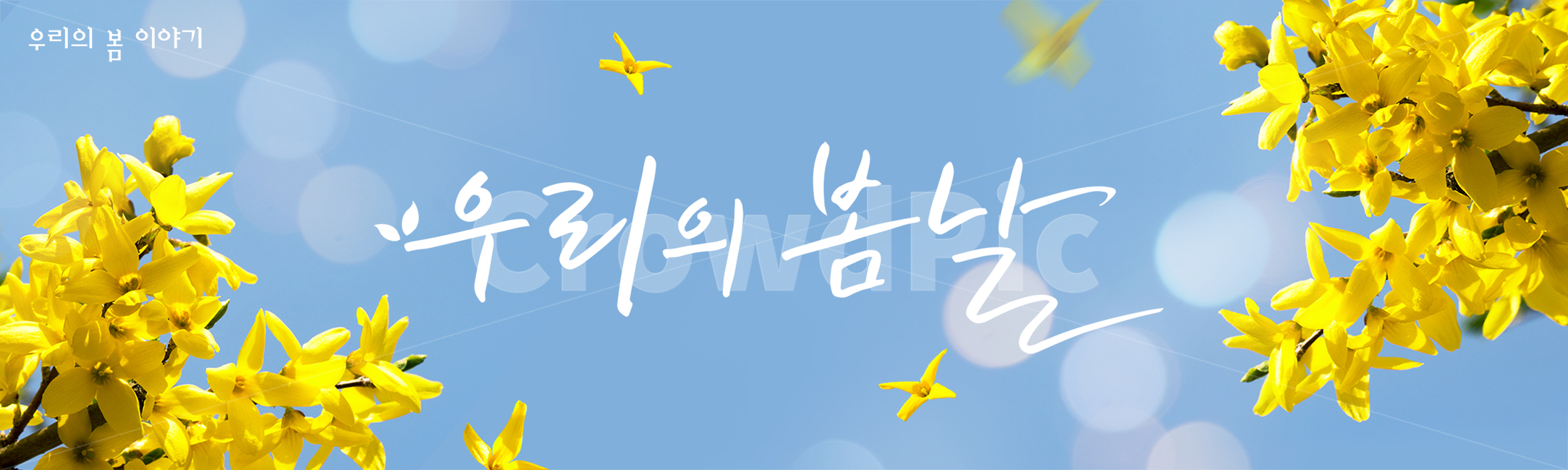 시즌,계절,봄,캘리그라피,캘리,손글씨,편집,배너,웹소스,소스,모바일,팝업,붓글씨,한글,꽃,배경,백그라운드,개나리,하늘,봄,계절,spring,season,캘리그라피,손글씨,calligraphy