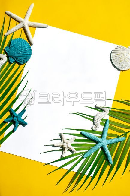 노랑색,야자수,야자나무,야자,자연,조개껍데기,조가비,여름,조개,더운,핫,컬러풀,배경,리조트,트로피컬,도안,미술,삽화,노란색,옐로우,바다,노랑,휴가,방학,열대,데코,공휴일,그린,다채로운,계절,장식,컨셉,오브젝트,여름이미지,해마,불가사리,해산물,블루,종이,밝은,해양,카피스페이스,노랗다,비치,해안가,해변,여름,계절,summer,season