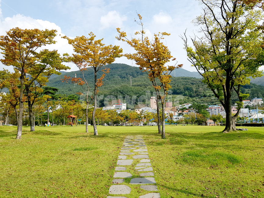 plant,식물,grass,잔디,tree,나무,양산시,거리,금산근린공원