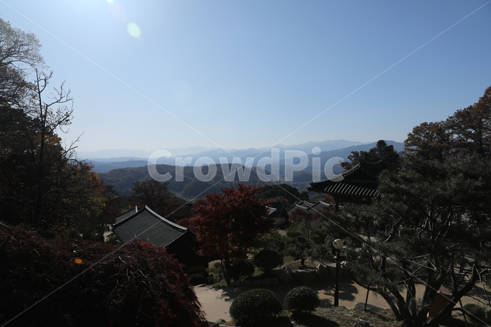 산,숲,하늘,절,산속풍경,기와,지붕,한국전통,한국건축,landscape,경치,자연,건물