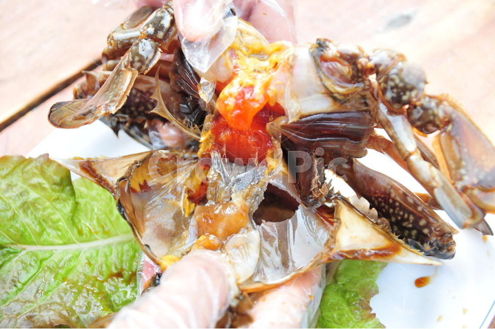 간장게장,게장,간장,꽃개,암꽃개,꽃개알,밥도둑,요리,반찬,전문요리,맛집,음식,식재료,요리,food,cook,meal,dishes,food reserves,수산물,해산물,fishery products,seafood