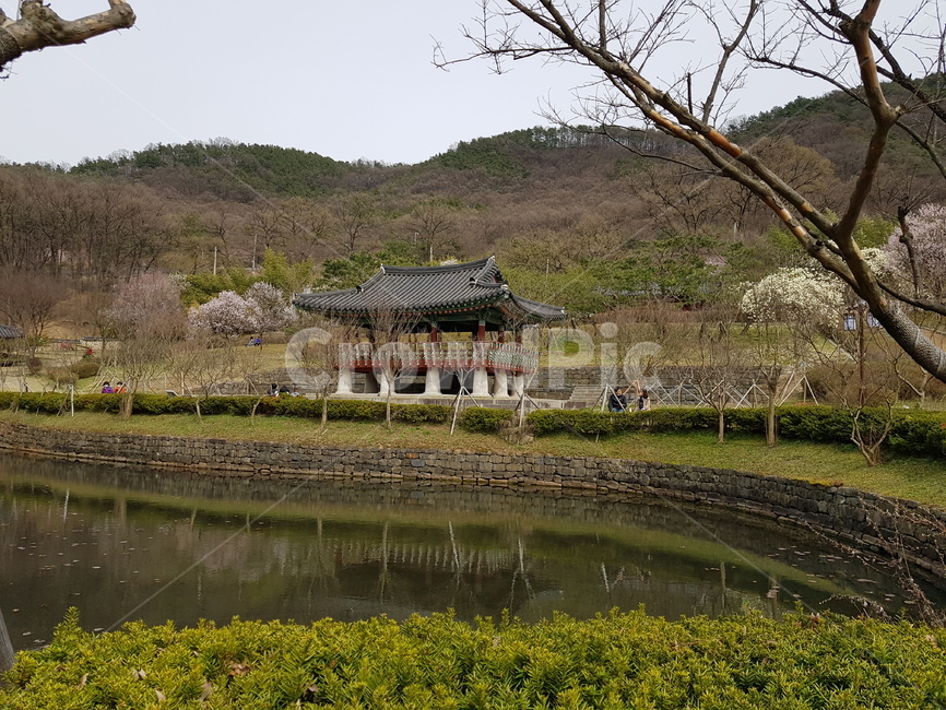 nature,자연,outdoors,정자,전통