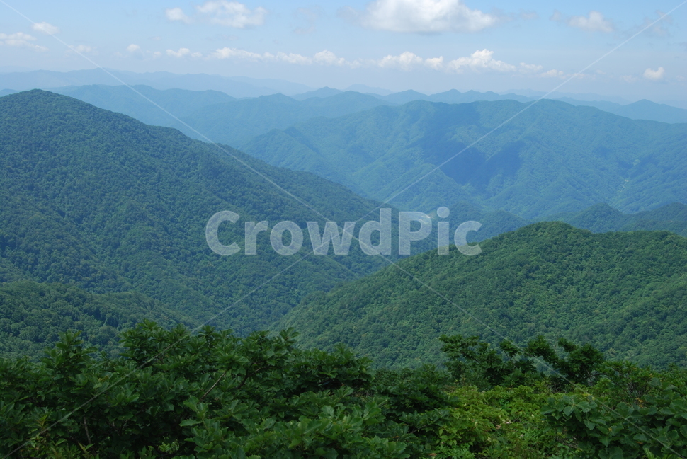 summer,hikingtrail,cloud,tree,하늘,자연,풍경,nature,landscape,한국자연풍경,한국자연경관,korea nature landscape,outdoors,옥외,mountain,산,mountain range,산맥