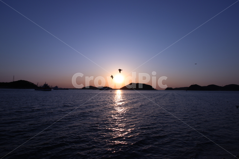 일몰,낙조,당진,도비도항,sunset,왜목마을