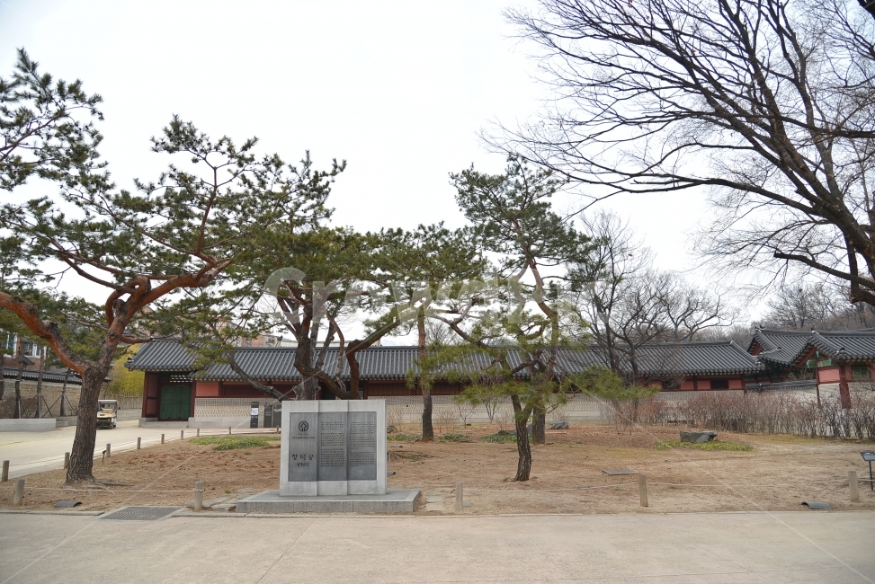 창덕궁,4대궁,조선궁,돈화문,방학탐방,고궁투어,고공분투,한국전통,한국문화,korean traditional,korean culture,랜드마크,landmark,tourist attraction,한국랜드마크,한국관광지,한국명소,korea landmark,korea tourist attraction