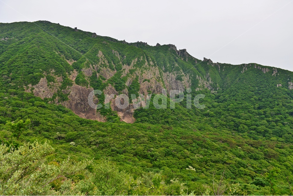 제주,한라산,한라산봄,봄,계절,영실,영실코스,윗세오름,언덕,plant,식물,nature,자연,outdoors,옥외,경치,경관,풍경,비경,제주비경,제주봄,오백나한,자연,풍경,nature,landscape