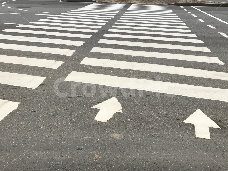 일상,풍경,도로,교통,거리,교통,교통수단,traffic,transportation,asphalt,아스팔트,road