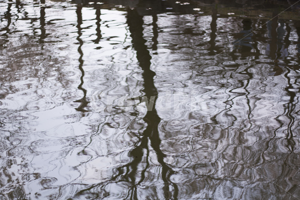 water,리플,물,outdoors,옥외,ripple