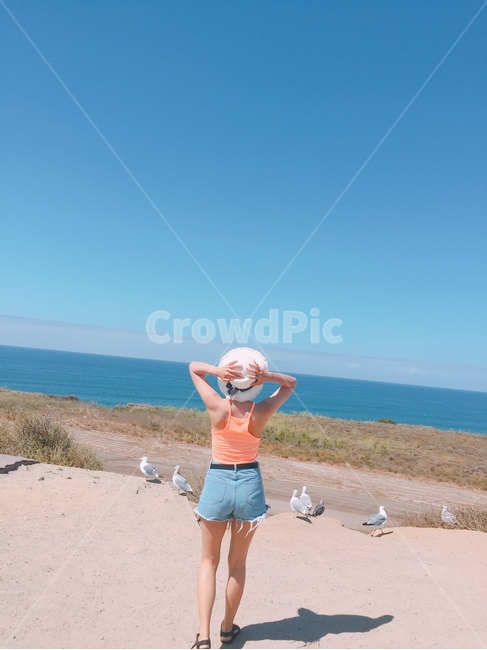 샌디에고,미국서부여행,바다,미국여행,캘리포니아,여자뒷모습,여름,california,여름,계절,summer,season,사람,인물,인간,human,person,여성,여자,woman,female,lady,여행,휴가,traveling,vacation,trip,shorts,반바지,bird,새,animal,동물